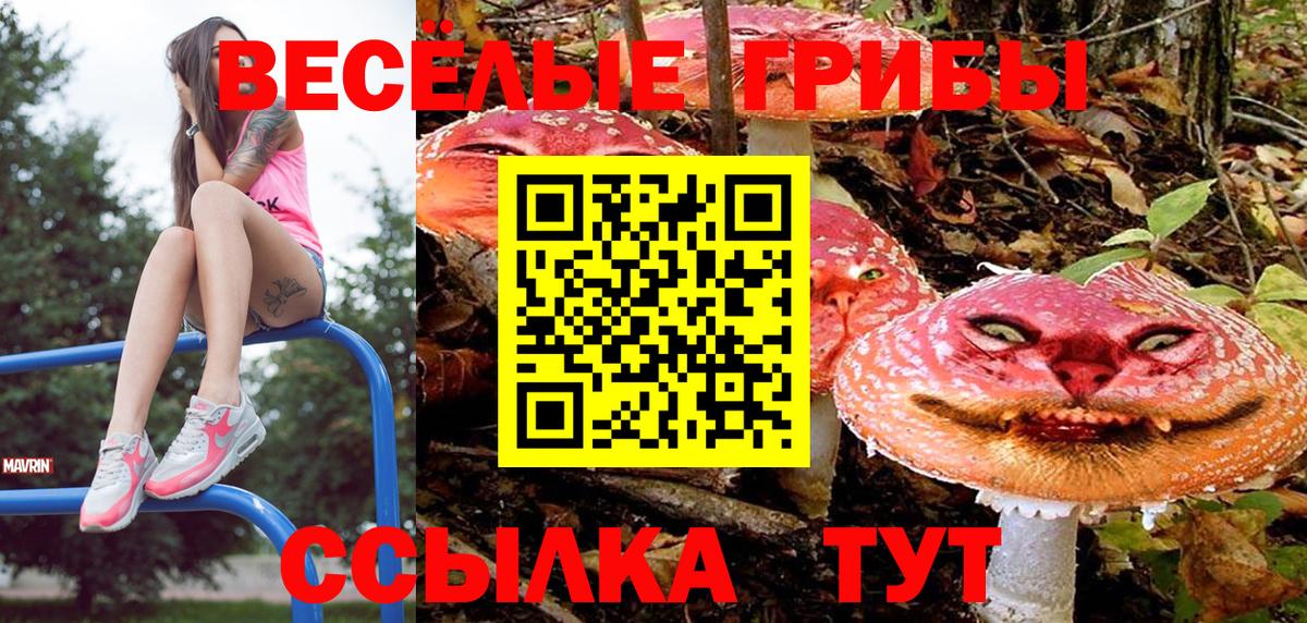 Галлюциногенные грибы Magic Shrooms Дедовск