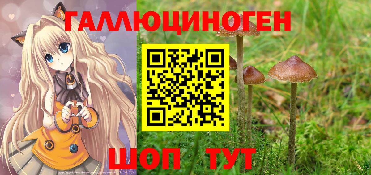 Дедовск  Галлюциногенные грибы Psilocybe  Вход с VPN 